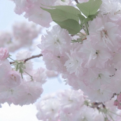 万州福瑞交流群